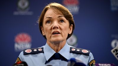 NSW Police backs state government on registrar changes