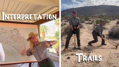 National Parks & Recreation? Watch Joshua Tree National Park reimagined as a sitcom