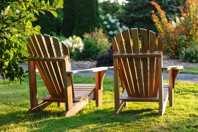 How To Get Rid Of Carpenter Bees That Can Damage Your Outdoor Wooden Furniture