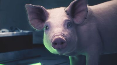 This space RPG from Mass Effect veterans already had my attention, but thanks to this hyper-intelligent pig with a 10,000-word vocabulary, it now has my curiosity