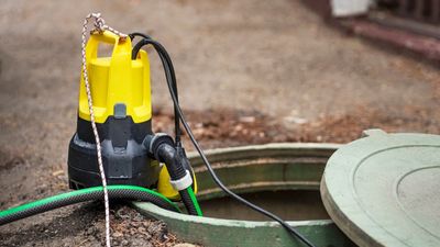 How often should you pump your septic tank? Experts have the answers to avoid costly repairs