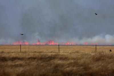 Grass Fueling Increase In Destructive Wildfires Across The US