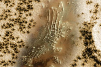 Mars probe spots "spider" shapes