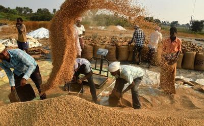 Centre, Punjab, Haryana response sought by SC on fixing MSP for alternative crops