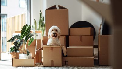 If You’re Preparing to Move, Should You Buy or Rent?