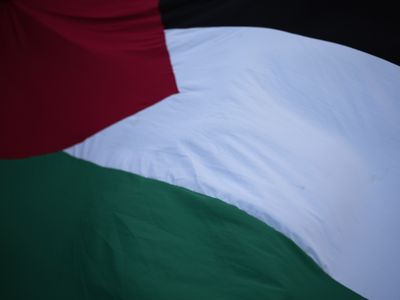 A student club is suing its school, saying its pro-Palestinian views were censored