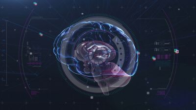 China developed its very own Neuralink — Neucyber brain interface comes from a neurotechnology firm