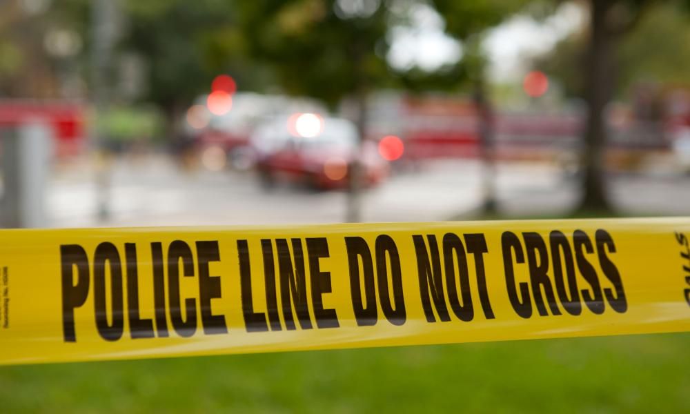 Arkansas woman pleads guilty to stealing parts of…