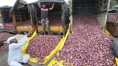 After nod for Gujarat onion exports, Centre seeks to soothe Maharashtra farmers