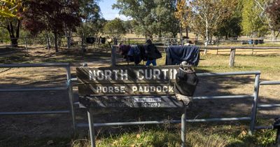 Steel reveals 1300 homes planned for Curtin horse paddocks