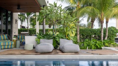 How to Add an Exotic Palm Tree to Your Yard – And an Expert's Pick of the Best Ones for Small Spaces