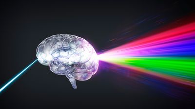 The Brainstorms Project will reveal what your brain looks like when it listens to Pink Floyd