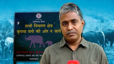 In Chhattisgarh, parties skip man-elephant conflict that kills hundreds of tribals