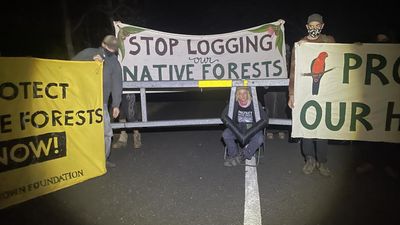 Forestry Corp compliance squad sets sights on protests