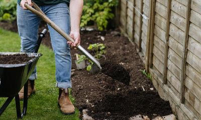 ‘Get rid of your green waste bin and let leaves rot into the soil,’ says garden expert