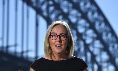 Liz Ellis: Netball Australia’s biggest critic to shake things up from the inside