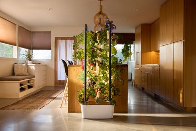 5 Ways to Use Indoor Plant Growing Systems to Help Your Crops Thrive — And That Look Amazing, Too
