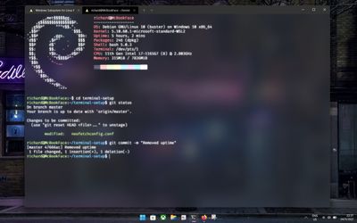 Popular terminal tool you could use on Windows and WSL is no more, but there are already some great alternatives