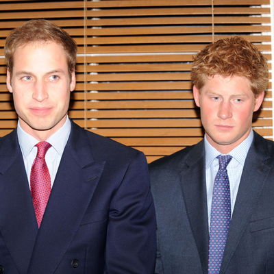 Prince William Is "A Bit Envious" of Prince Harry's Lifestyle, Sources Claim