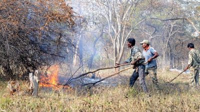 Tenure of fire watchers in Bandipur, other project tiger reserves likely to be extended