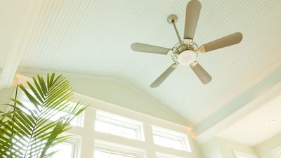 Fans vs air conditioners – which is better for cooling your home?