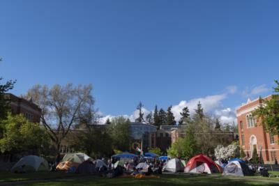 Protesters Reestablish Tents On University Campus After Police Action