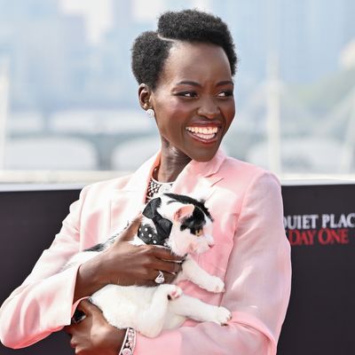 Why Did Lupita Nyong’o Accessorize Her Bubblegum Suit With a Live Cat?