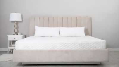 What is an Olympic queen mattress and should you buy one?