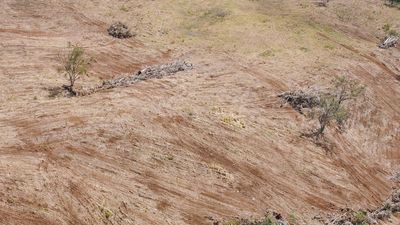 Less land clearing sees red meat emissions reduction