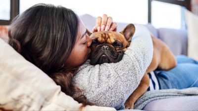 Five trainer-approved tips to help your new dog settle in
