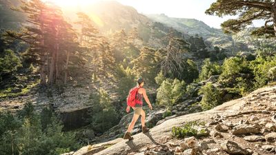 7 hiking gear essentials I recommend for the ultimate outdoor adventure