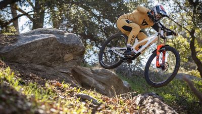 New YT Industries' Tues adds a flip-chip to seamlessly switch between 29in and 27.5in rear wheels
