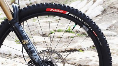 Vittoria launches the Mostro – two gravity focussed tires with a new grippy rubber compound and innovative design features