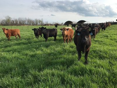 Central Kentucky farmer says mild winter was a mixed blessing