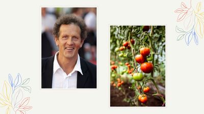 Monty Don shares his foolproof tomato-growing advice for achieving a bountiful harvest this summer