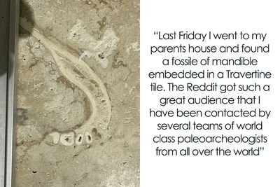 Person Checks Out How Parents Renovated Their Home, Discovers Human Jawbone In Their Floor Tile