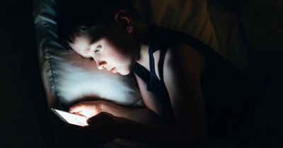 What tech tools can stop children 'stumbling' over online porn?