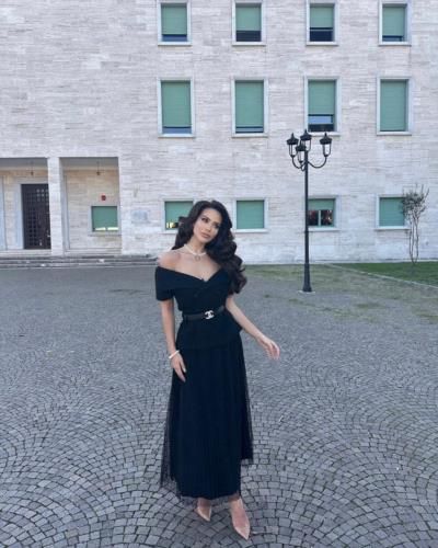 Elegance And Sophistication: Endi Demneri's Timeless…