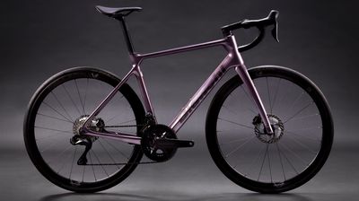 New Bianchi Infinito endurance bike gets internal cable routing, purple colour option