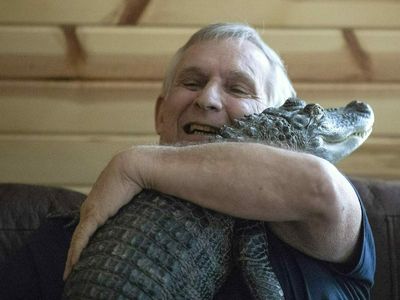 Have you seen this emotional support gator? Wally's owner says he's lost in Georgia