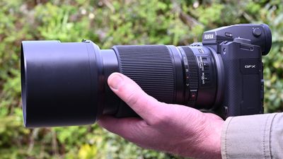 Fujifilm GF 120mm f/4 Macro R LM OIS WR review: a powerful medium format lens ideally suited to extreme close-ups