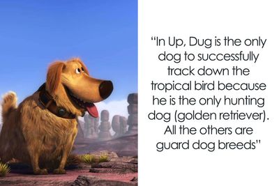 People Share Brilliant Hidden Details In Animated Movies, Here Are The 50 Best Ones