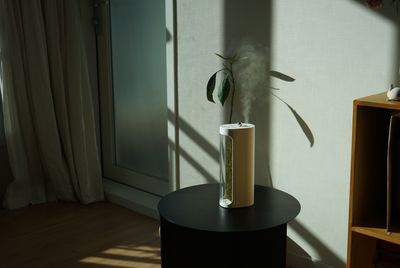 This New "Moss Air Purifier" Is Going Viral — And It Has a Genius Benefit Over Standard Air Purifiers
