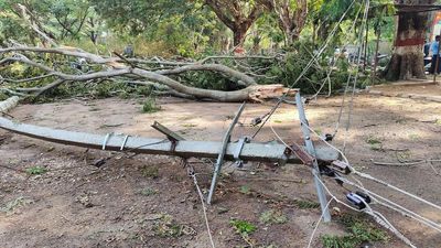 Nearly 200 electricity poles uprooted or damaged in Mysuru during rains on May 3