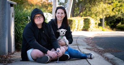 'Massive' response for teen with autism's dog-walking business