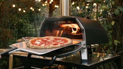How much should you spend on a pizza oven? Expert advice