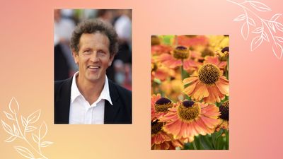 Monty Don says the 'Chelsea Chop' is the secret for prolonging your floral displays well into the autumn months