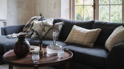 How to clean a sofa without a vacuum – 6 alternative methods for a fresh living space
