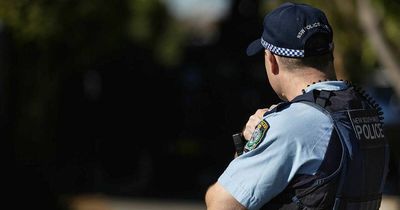 Cop car rammed by stolen vehicle, man flees into bushland