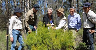 Landholders partner with government to protect Hunter biodiversity
